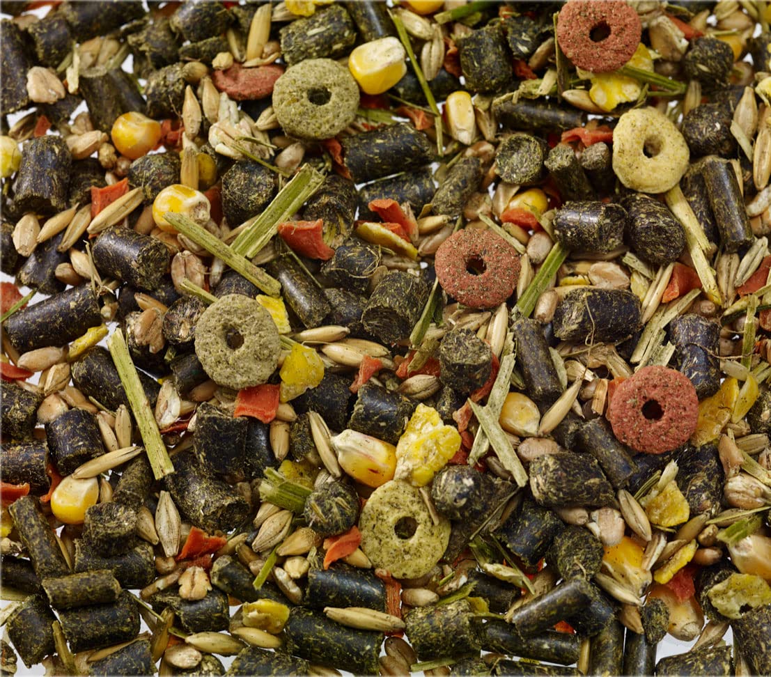 Dehner, mangime per porcellini d'India, 5 kg