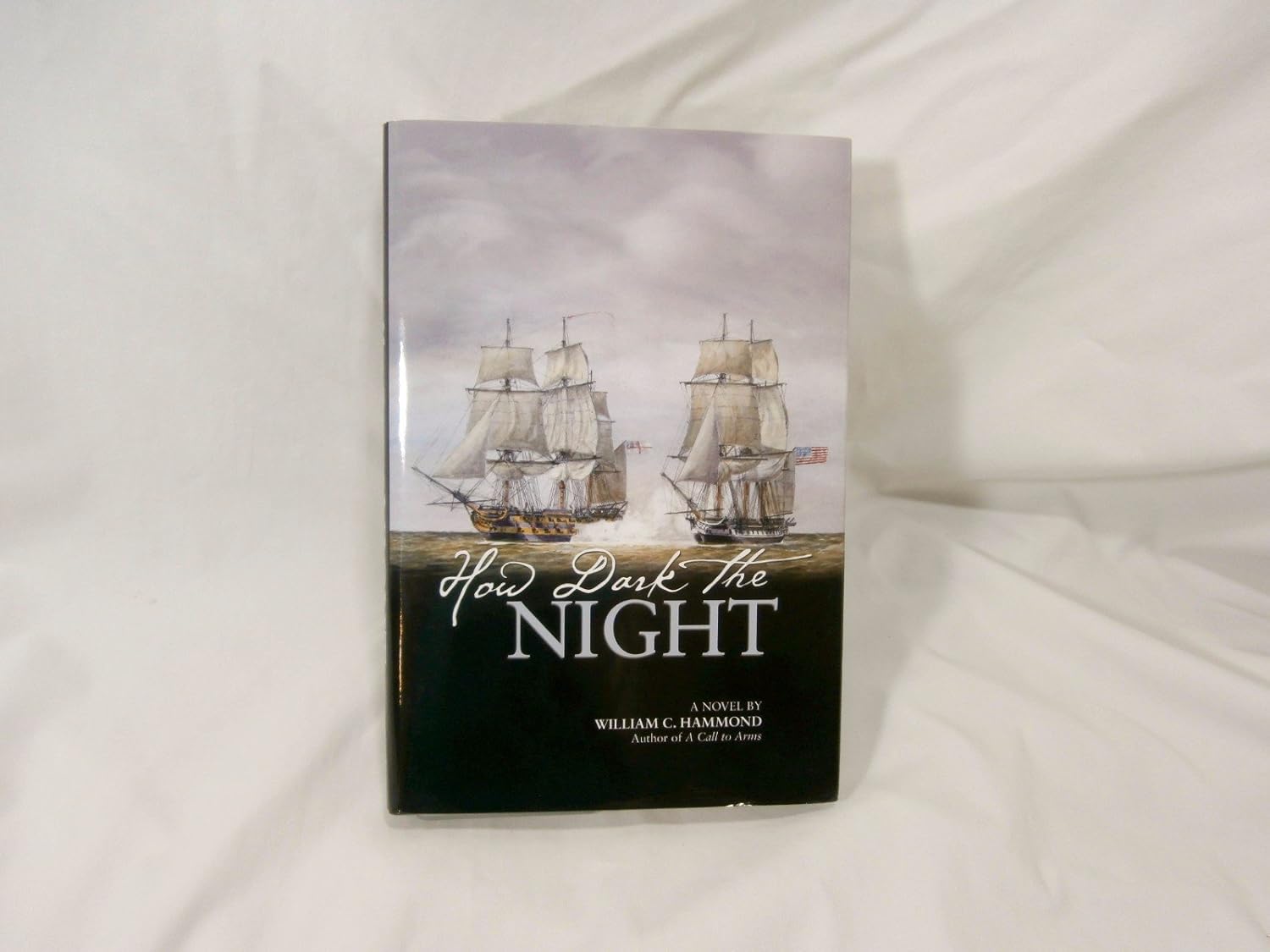 Amazon.com: How Dark the Night: A Novel: 9781612514673: Hammond, William C.: Books