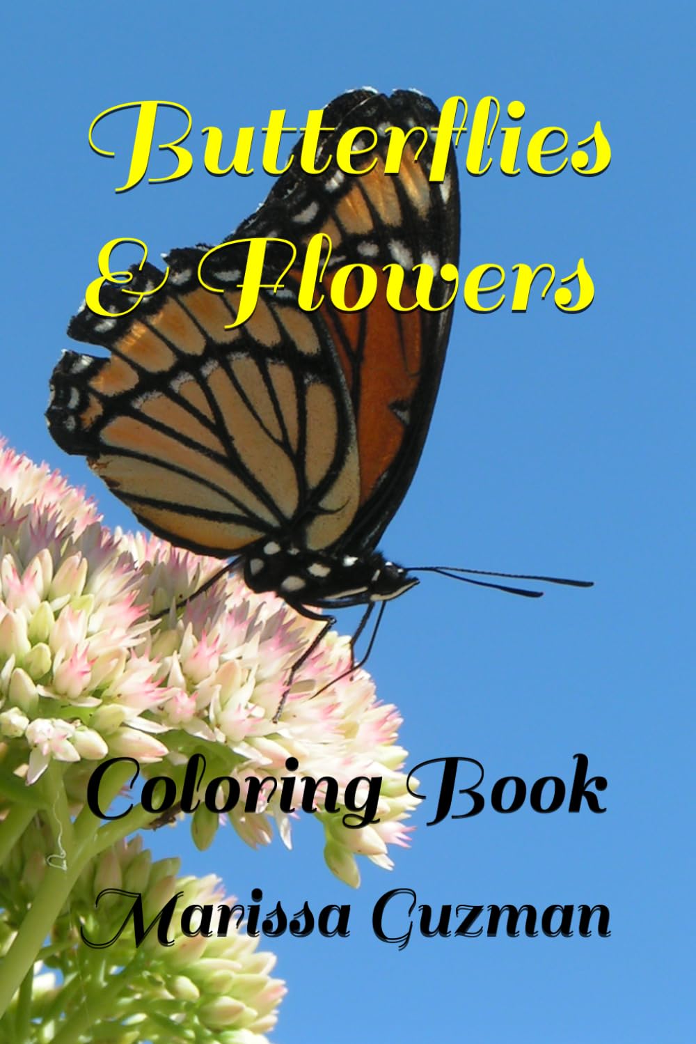 Butterflies & Flowers: Coloring Book