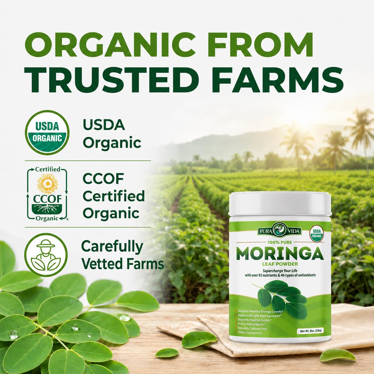 PURA VIDA MORINGA Organic Moringa Powder, Premium 100% Leaf Powder Single Origin - USDA Organic Moringa Oleifera Leaf, Perfect for Smoothies & Recipes, 8 oz — Amazon image 10