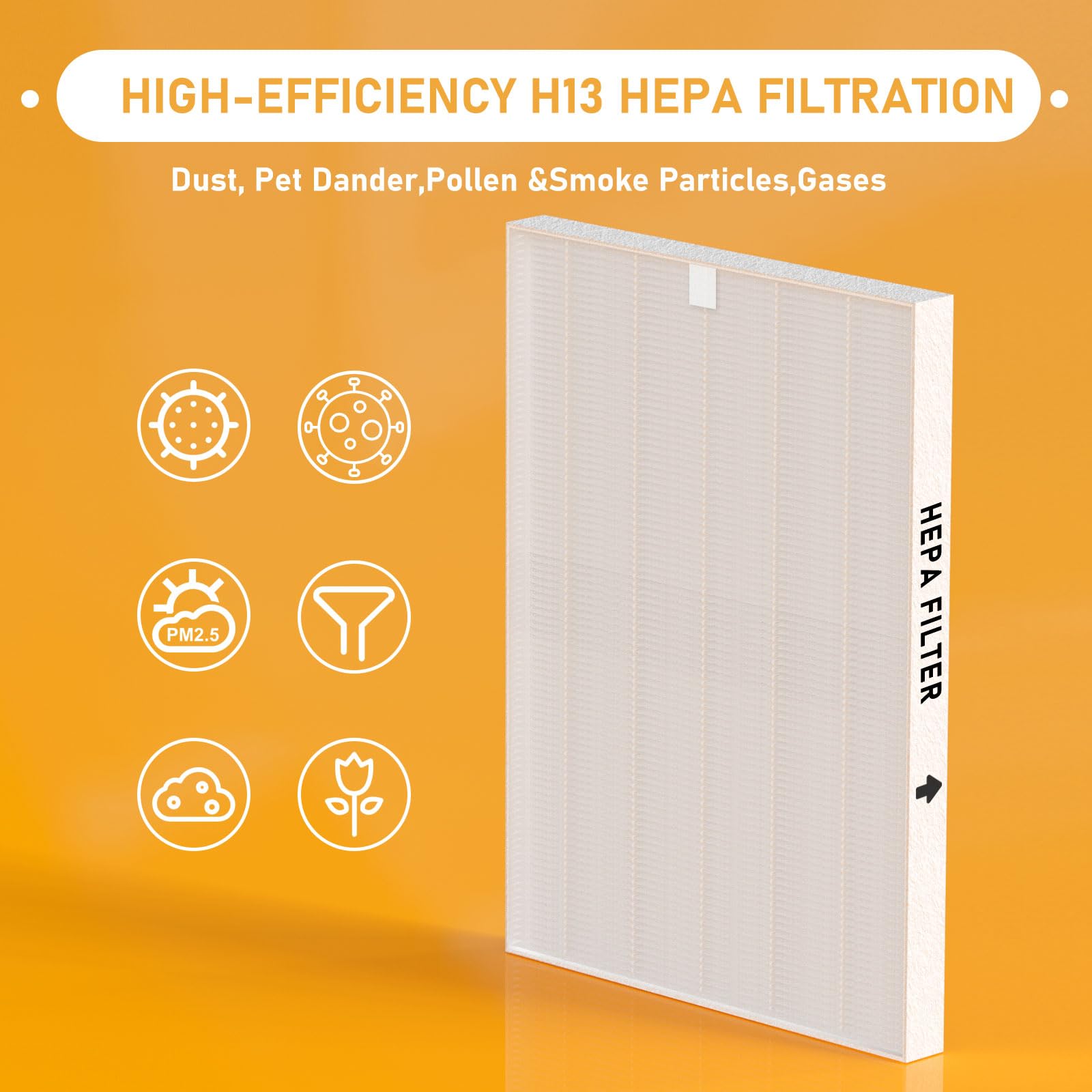 116130 True HEPA Filtre de rechange H compatible avec purificateur d'air Winix 5500-2 et modèles AM80, lot de 3 filtres HEPA uniquement
