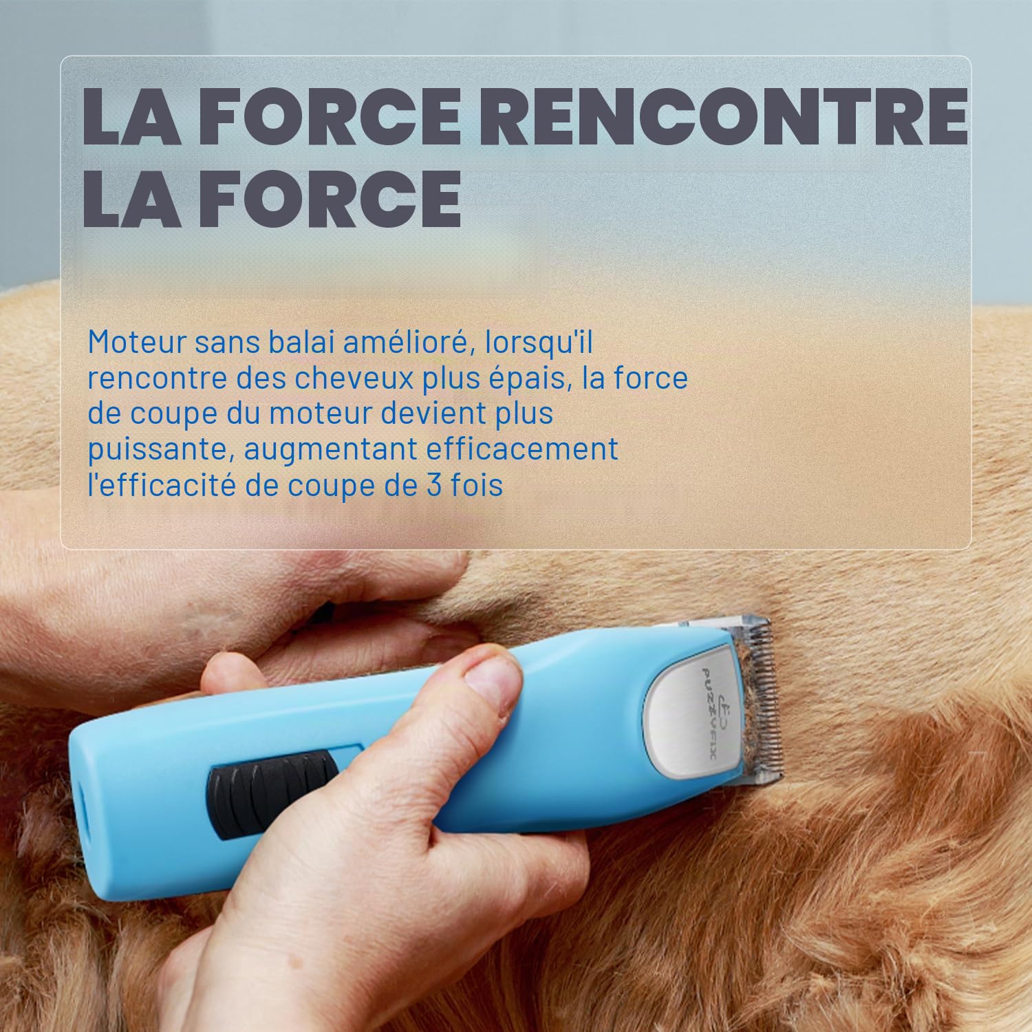 Tondeuse professionnelle pour chien pour toilettage, kit de toilettage pour animaux de compagnie pour manteaux épais et lourds à faible bruit, lame en acier inoxydable avec moteur sans balais