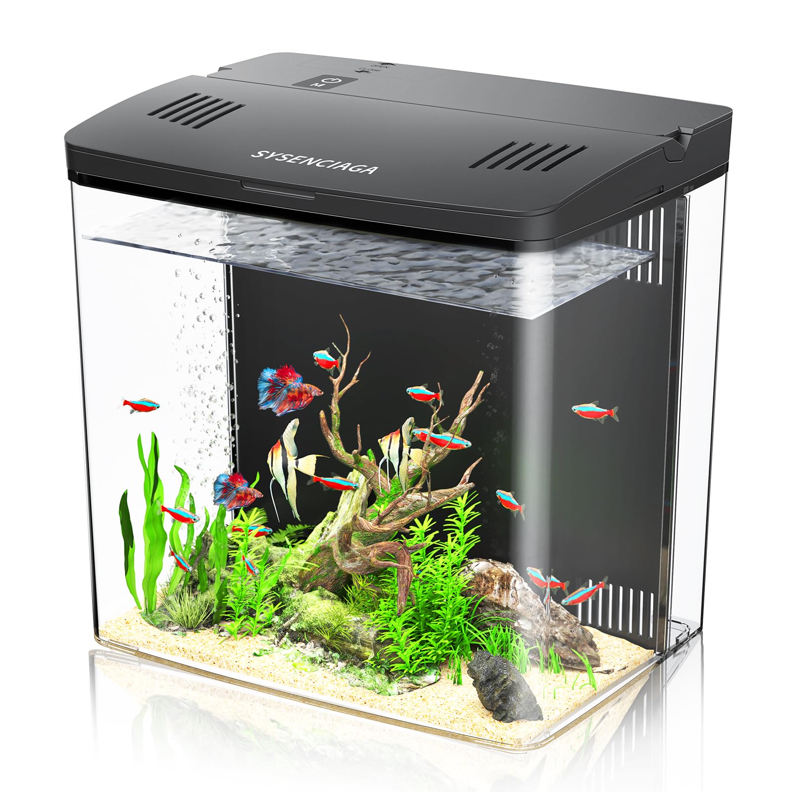 SYSENCIAGA 1.2 Gal