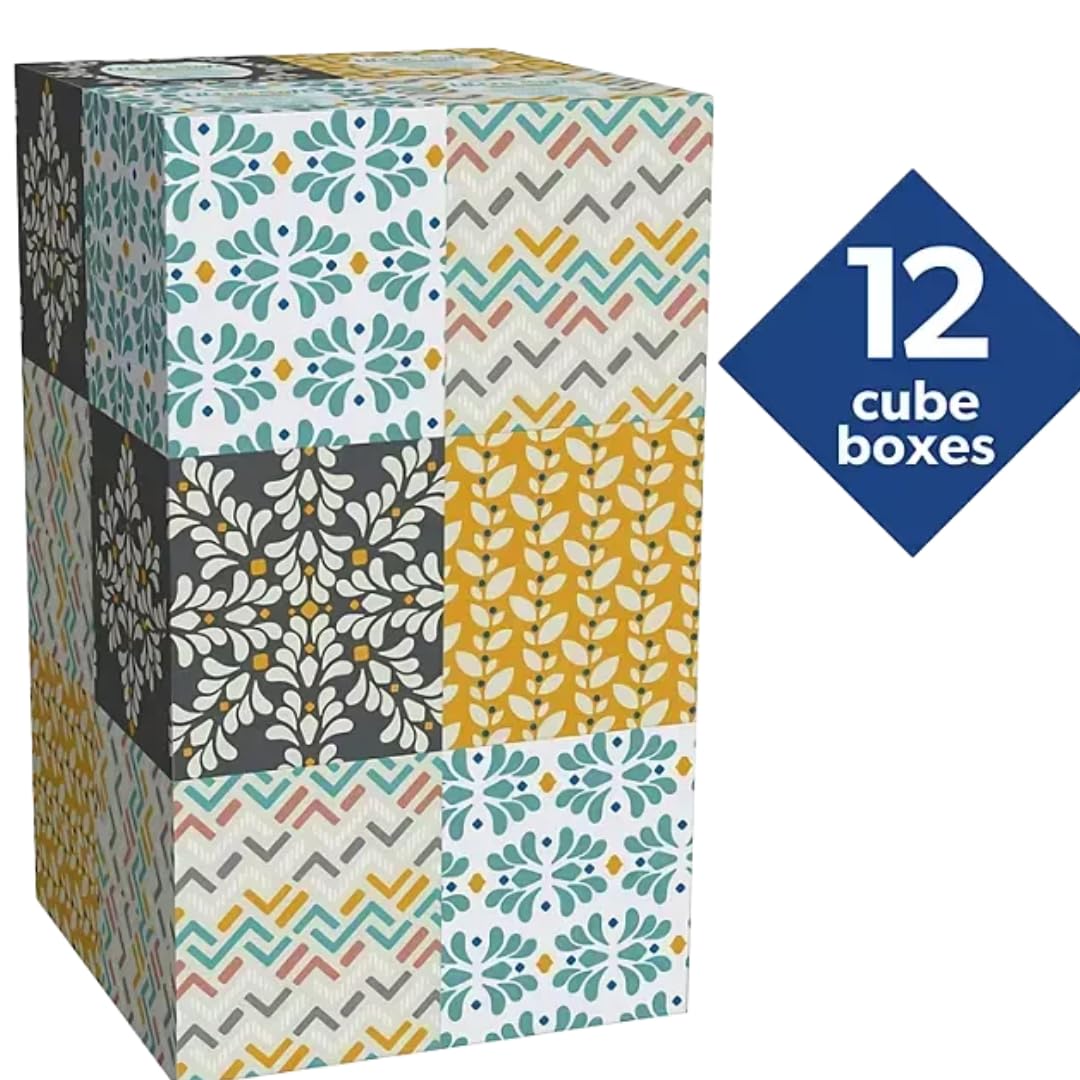 Ultra Soft Facial Tissues, 3-Ply, 12 Cube Boxes, 80 Tissues per Box (2 Pack)