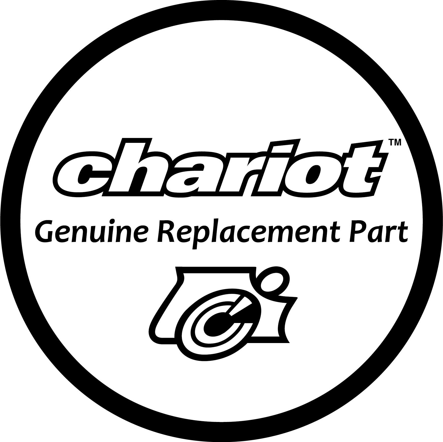 Thule Chariot Drapeau (Rouge, 30,5 cm L x 25,4 cm H) - Drapeau de Remorque de Vélo pour Cycliste