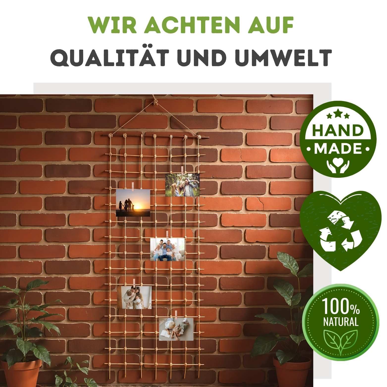 50 Stück Metall-Pflanzenstangenverbinder - Robuste Clips Für Rankgitter & Gartenspalieren