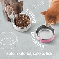Vista 8 de Pawaii Cuenco de acero inoxidable para perros con base de goma antideslizante y aislamiento de doble pared, diseño duradero, incluye etiqueta