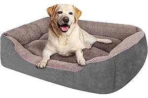 PoochPlanet Dog Bed: Cozy Haven for Your Furry Friend