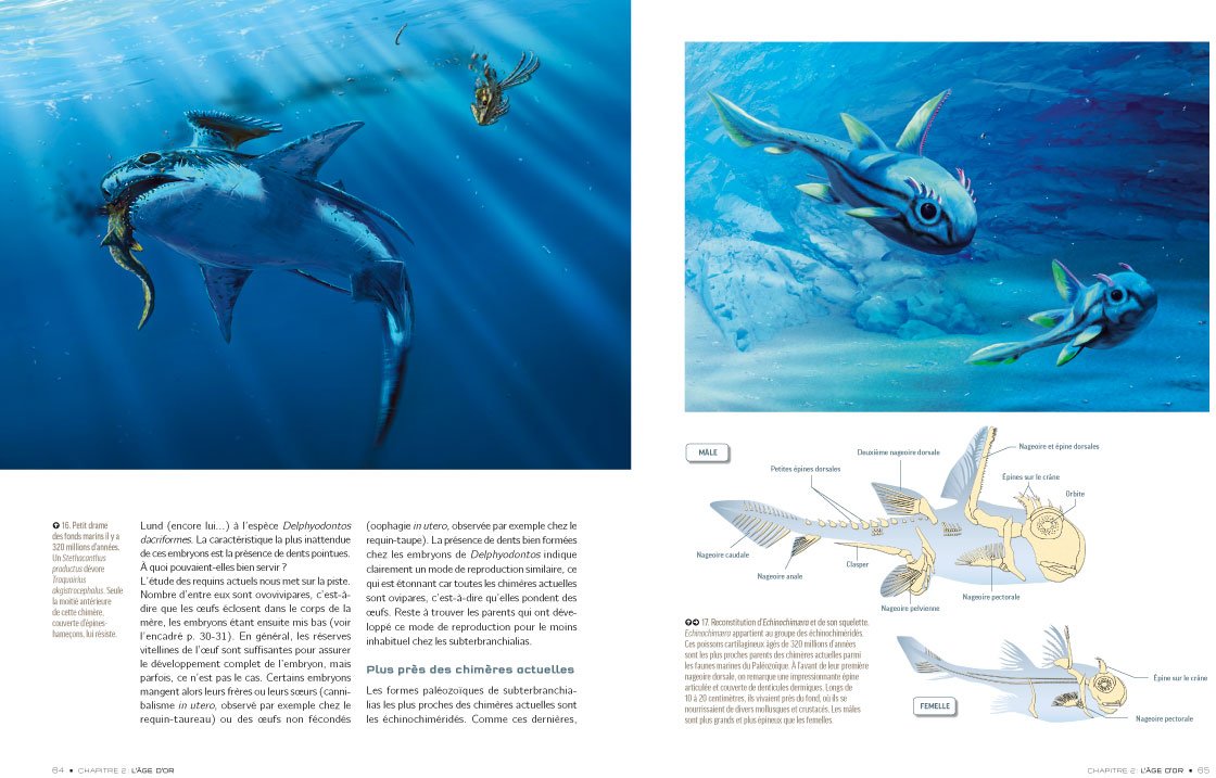 REQUINS: De la préhistoire à nos jours