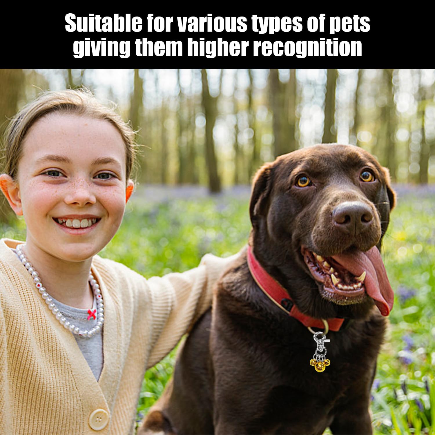 2 Campanelli Per Collare Per Animali Domestici, Decorazione Per Collare Per Animali Domestici, Campanelli In Metallo, Articoli Per Animali Domestici, Accessori Per Collare Per Animali Domestici