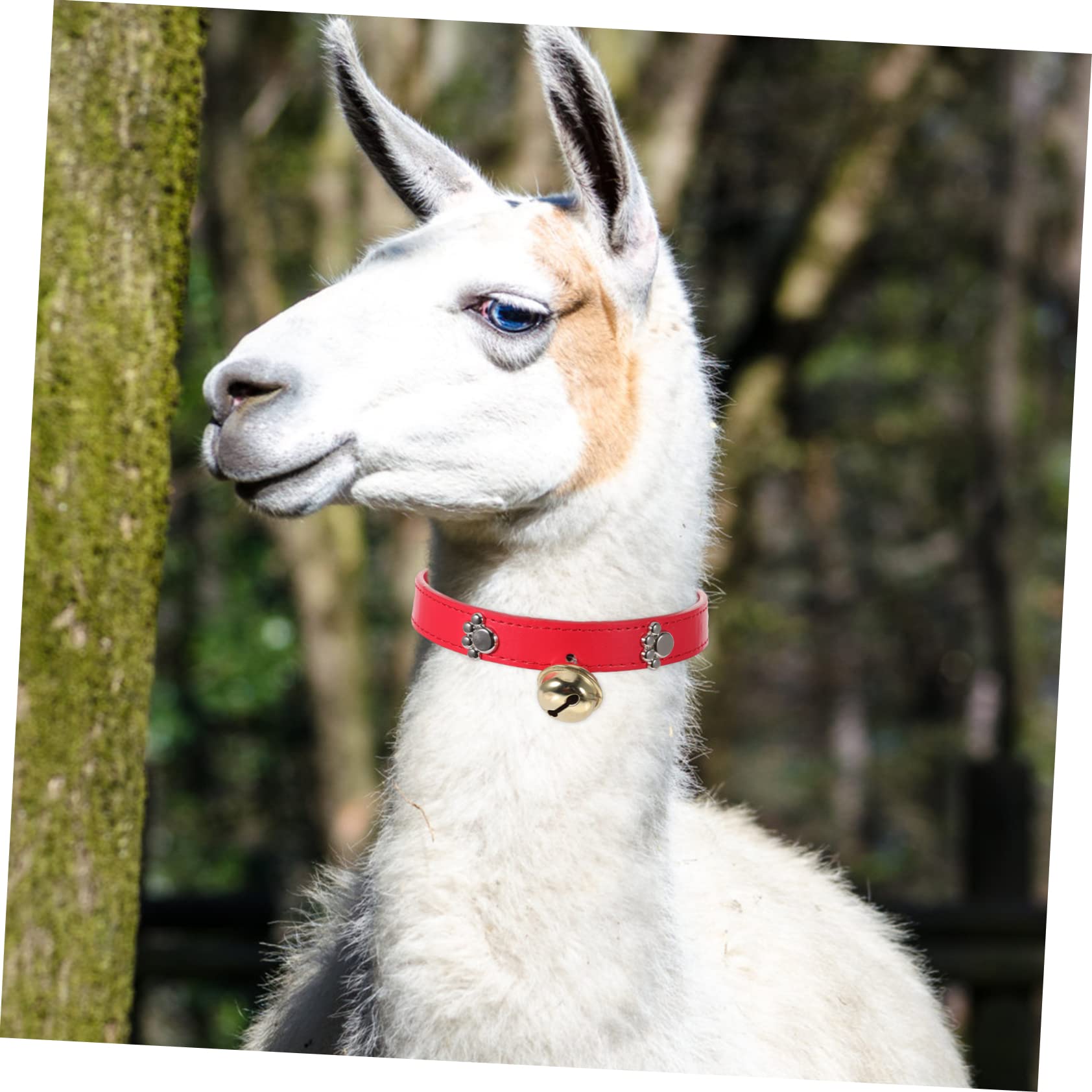 4pièces Collier Réglable pour Animaux avec Cloche Lot de Colliers Colorés pour Moutons Chèvres Et Veaux Accessoires De Bétail Adorables Et Pratiques