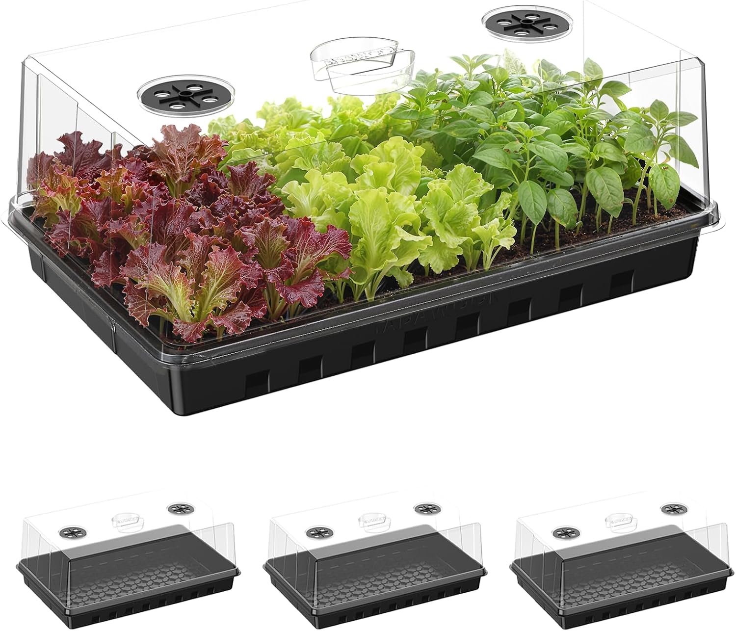 Seed Starter Tray, Seedling Trays Kit for Plant, Germination Trays with 4.73 Inch High Humidity Domes，Large Growing Space & Better Air Flow for Seed Starting, Growing Tray, Gardening Gifts, 6PCS