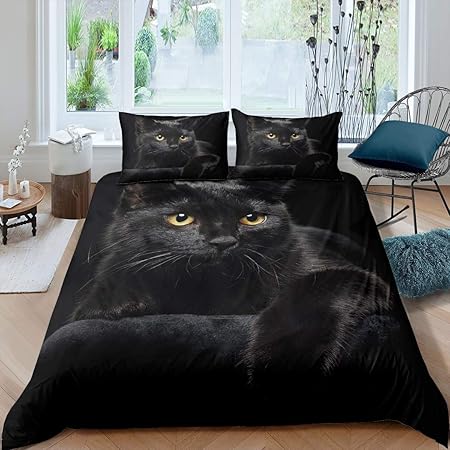 kitten bedding