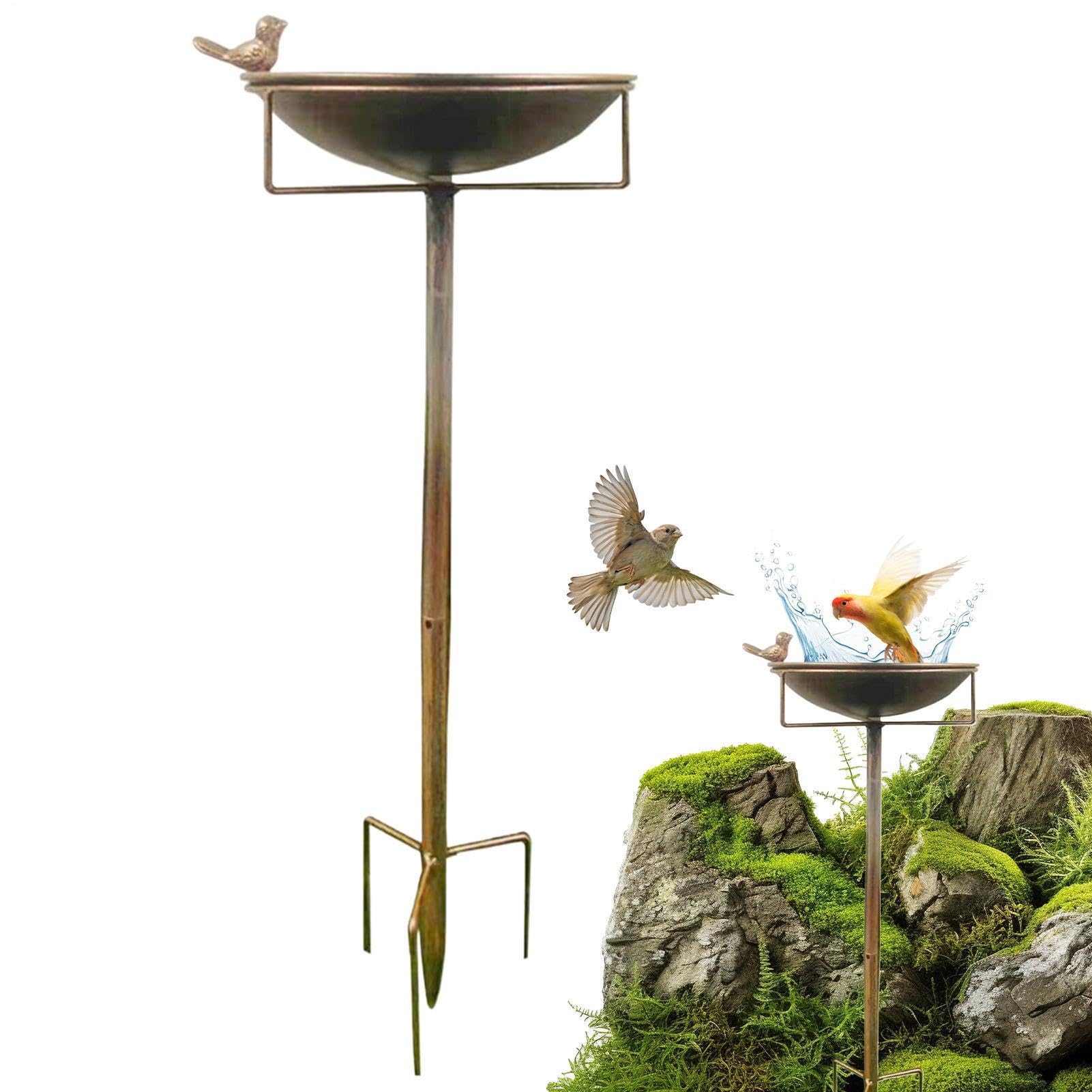 Bain d'oiseaux pour l'extérieur pour observer les colibris et papillons sur le balcon