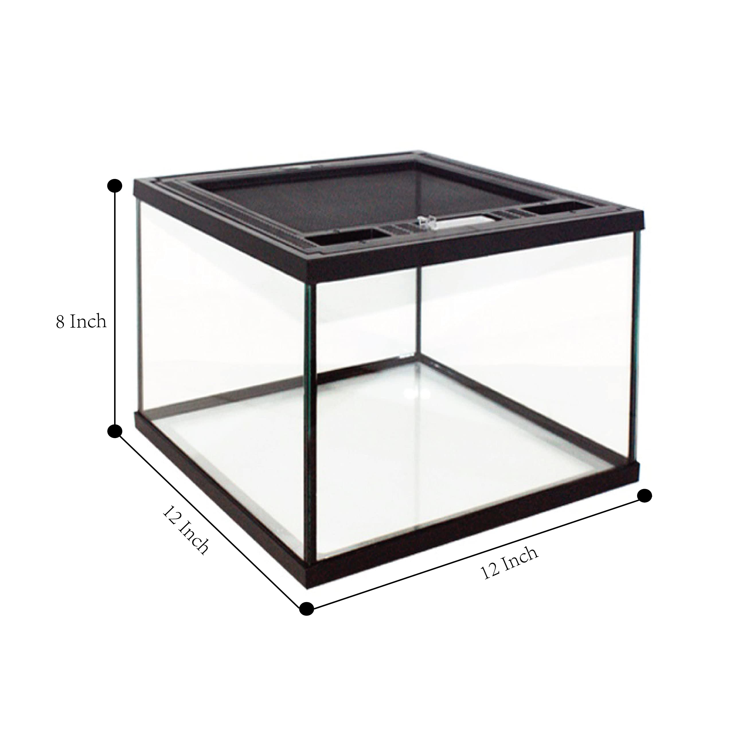 Glas-Terrarium Push Up mit Belüftungsöffnung und Futterloch für Lebende Reptilien Bartagamen, Leguan (30,5 x 30,5 x 20,3 cm)