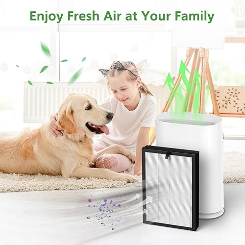 Miniatura 7 de Paquete de 1 filtro de repuesto H05, compatible con HIMOX H05 Air Puri Fier, filtro HEPA verdadero de grado H13 (no compatible con HIMOX H04)