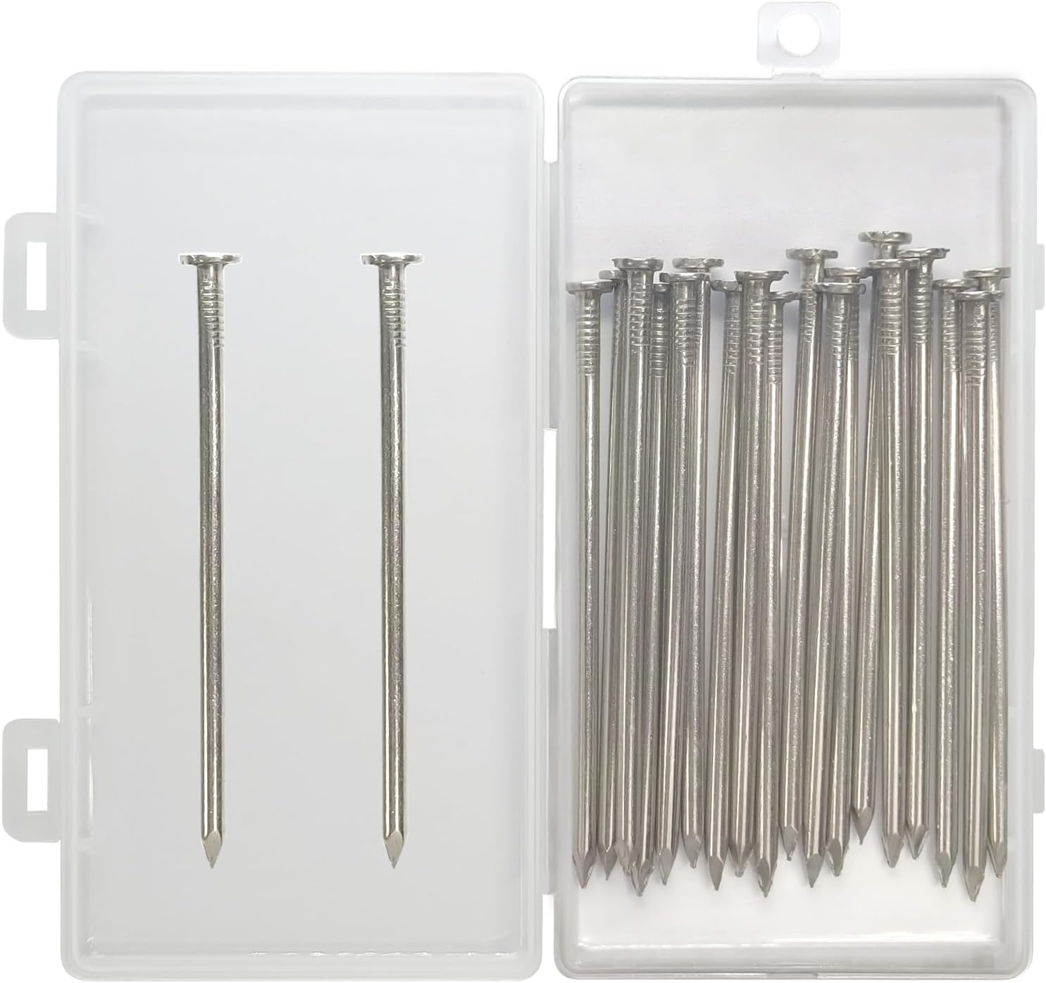 20pcs Premium Hardware Nails Assortment Kit, 4 Inch 304