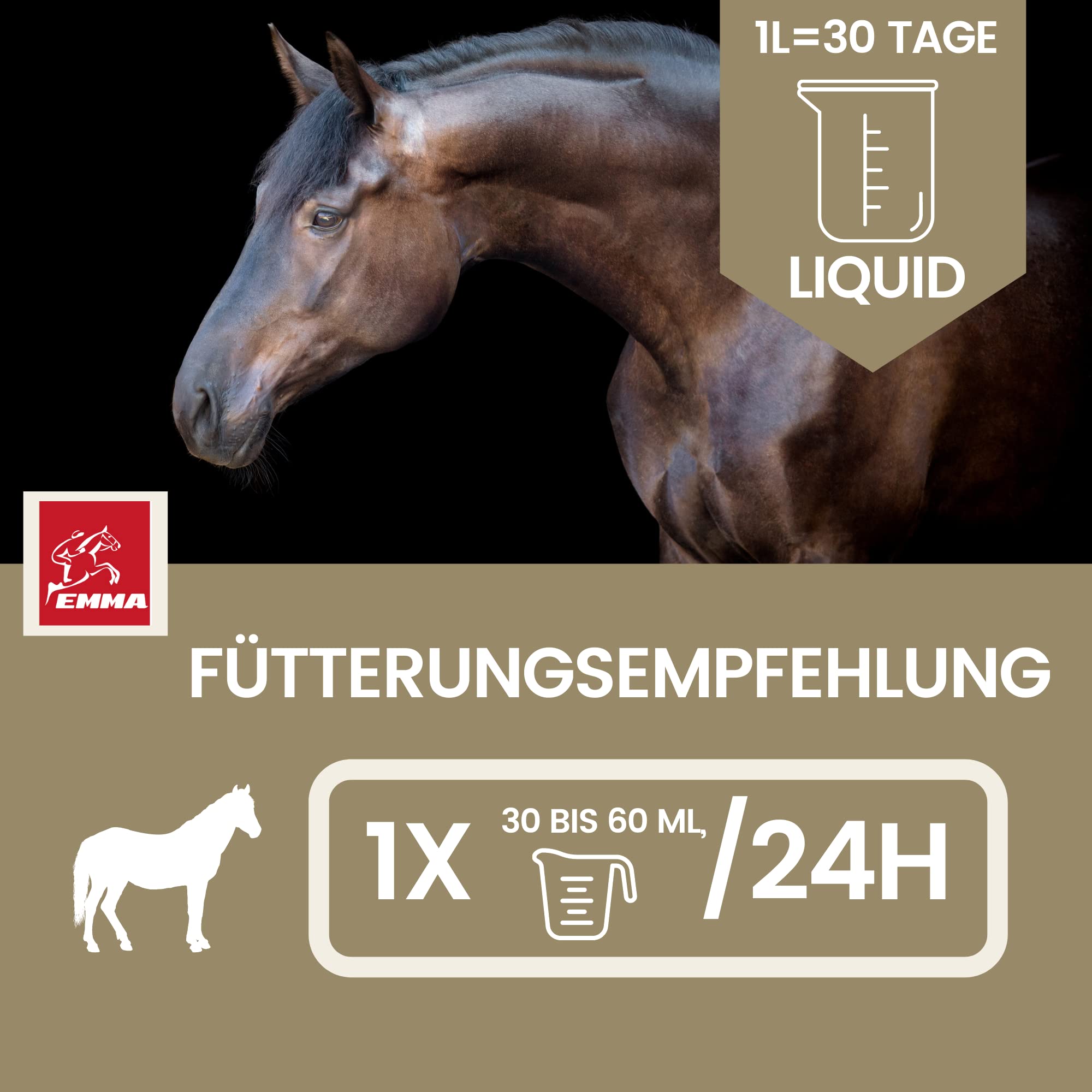 Amino Liquid I Aminoacidi Complesso vitaminico B I Mangime complementare Vitamina B12 I Zinco cavallo I Costruzione dei muscoli cavallo Rafforzamento dei muscoli I Rigenerazione muscoli per cavalli 1L