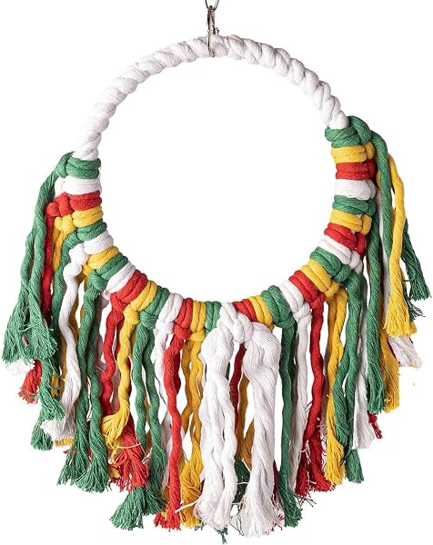 PARROT ESSENTIALS Sanded Nail Arch Swing Perch with Cotton Rope - Medium Parrot Toy Nest Swing for Nail Trimming - Wooden Bird Perch for African Grey, Amazon, Cockatoo - Pet Swing for Birdcage - 5