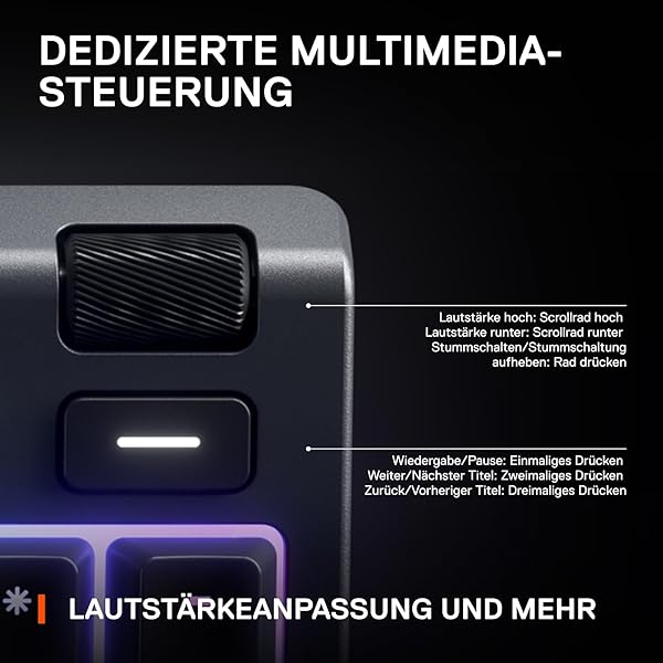 SteelSeries Apex 3 Gaming Tastatur - 10-Zonen RGB-Beleuchtung - Flüsterleise Gaming-Switches - Premium magnetische Handballenauflage - IP32 wassergeschützt - Deutsches (QWERTZ) Layout - 5