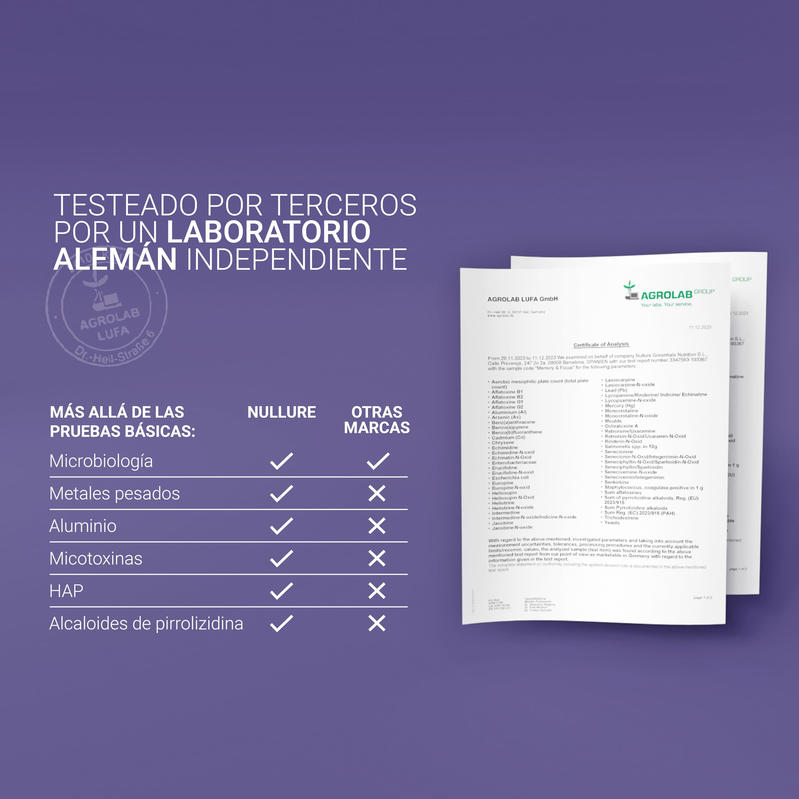 Nullure Memory & Focus Nootropico Potente | Sin Esterato de Magnesio y libre de aditivos | con Citicolina 250 mg COGNIZIN® | Memoria y Contrentración | Ginkgo Biloba · Bacopa Monnieri | 60 cap