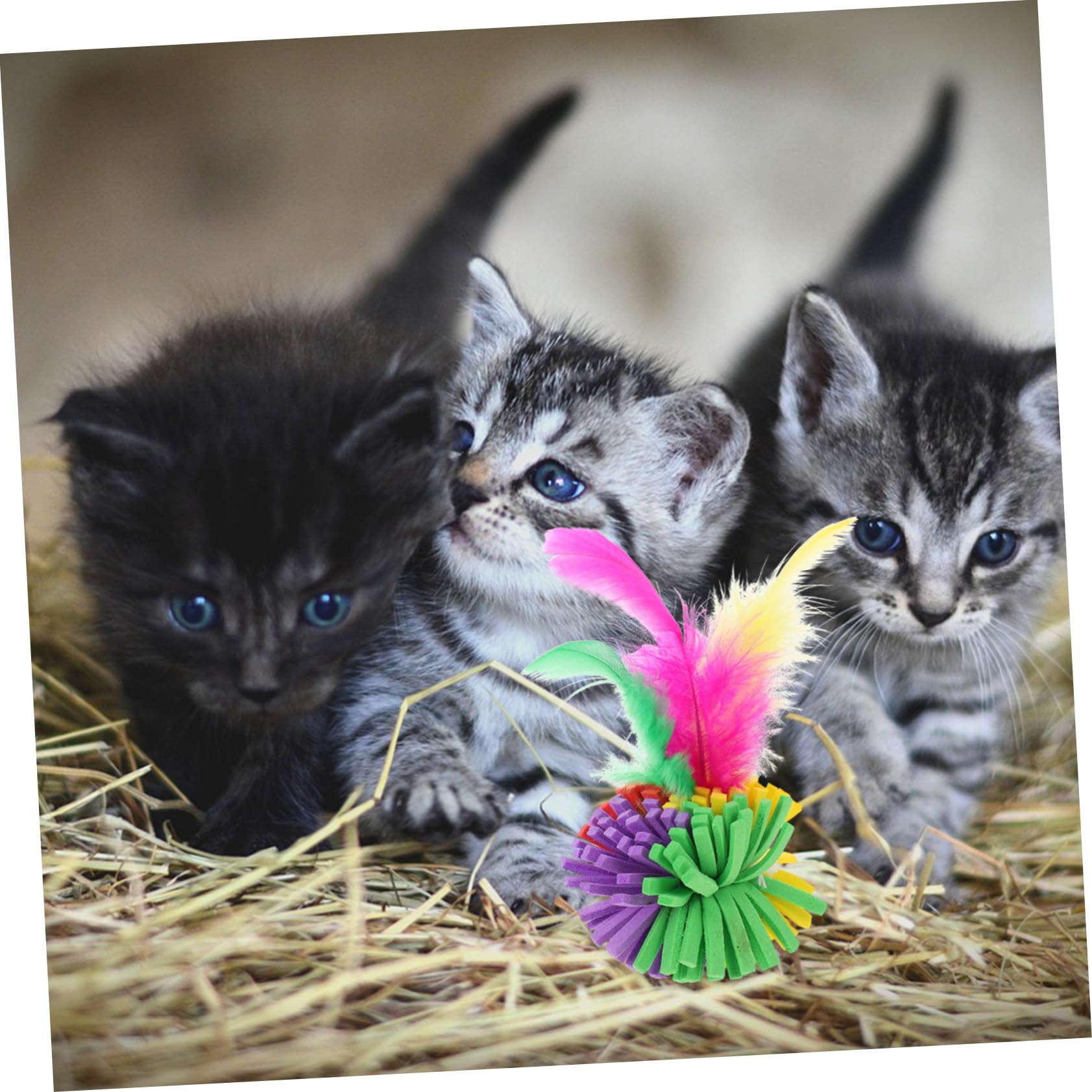 UPKOCH 4pièces Balles Colorées pour Chat Jouet de Suivi Lot de Balles Amusantes pour Chaton Jouet Interactif pour Chat