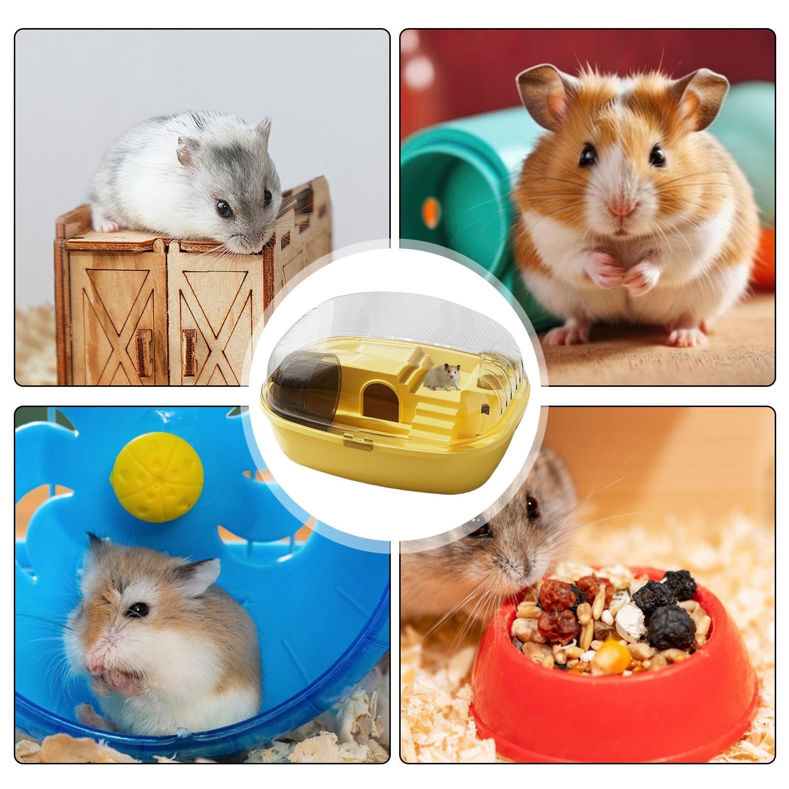 Groer Hamsterkfig 2 Etagen Acryl - Transparentes Hamsterhaus 45x30x34cm  Mit Zubehr Fr Zwerghamster