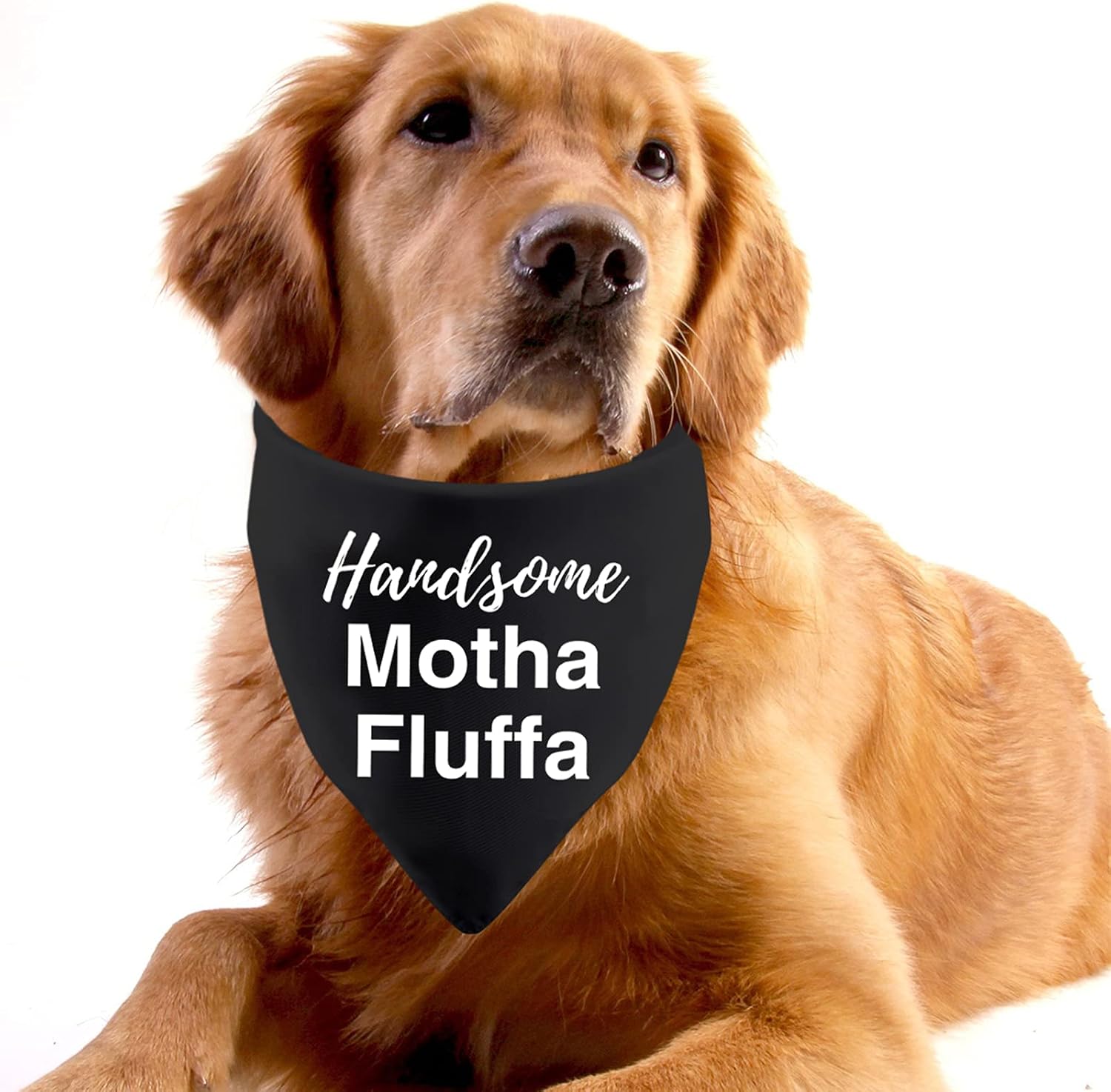 1 Piece Handsome Motha Fluffa Dog Bandana Funny Dog Bandana Phrase Pet Bandana Motha Fluffa Gift (Handsome black) - Image 5