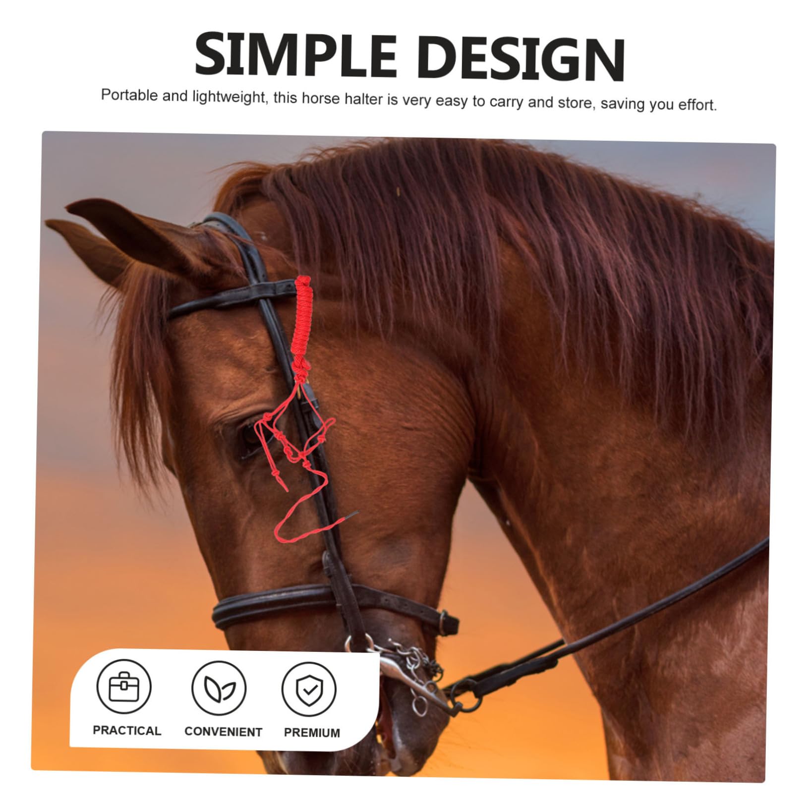 KOMBIUDA Cavezza Corda Intrecciata Accessorio Forniture Per Equitazione Addestramento Resistente Usura Controllo Trattenimento Miniatura Tiro