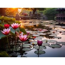 3 Hardy Water Lily Rhizomes for Planting Pond & Water Garden Roots