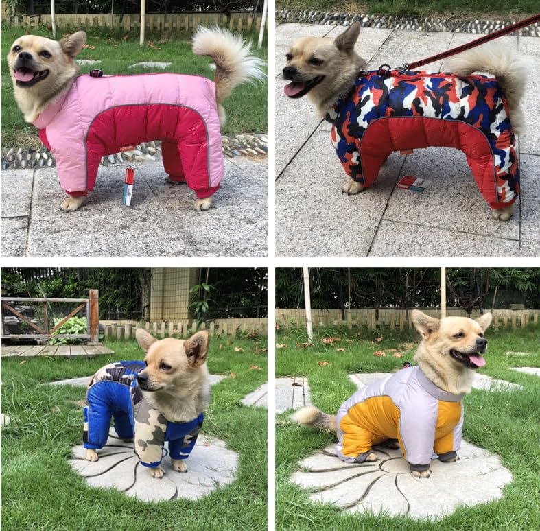 Feiling Hundejacke Winter - Gepolsterte 4-Bein-Jacke Für Kleine Hunde Mit Metallhaken
