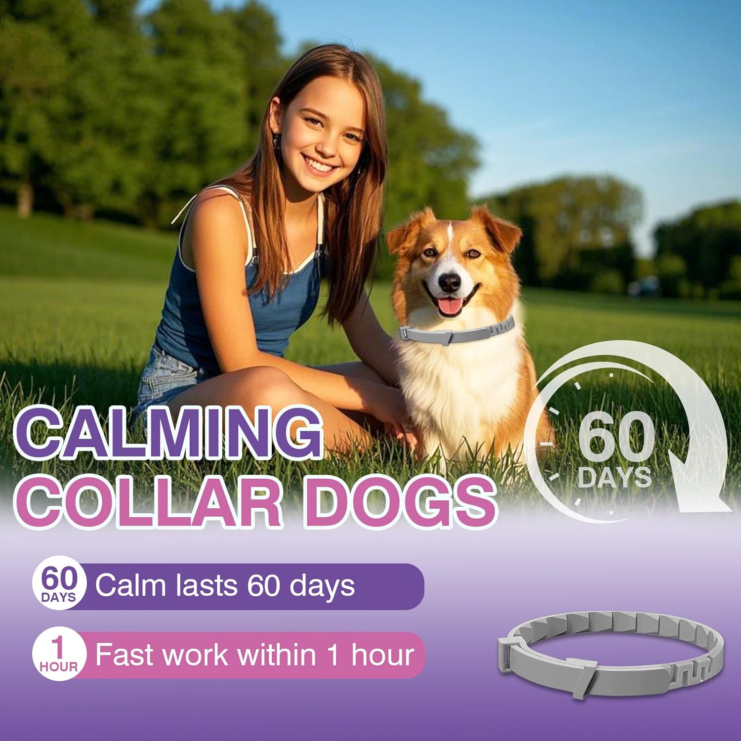 Calming Collar for Dogs 4 Pack Dog Calming Collar with Soothing Pheromone for Dog Helps Relieve Anxiety Stress Adjustable for Dogs Long-Lasting 60 Days Pet Calming Collars Grey - Image 3
