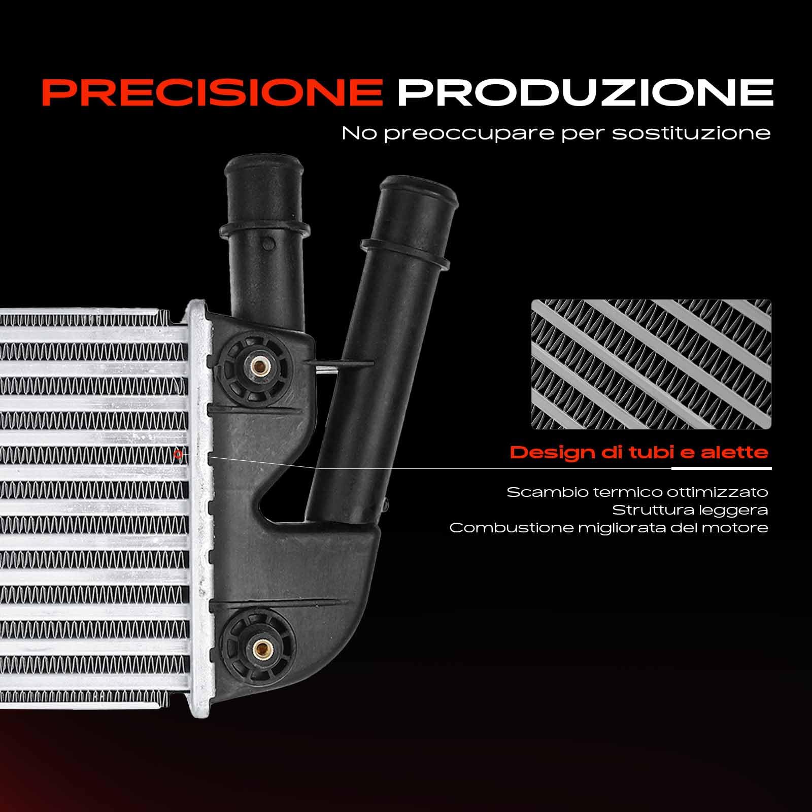 Frankberg Intercooler Compatibile con 169 1.3 D MultiJet Furgone/Compatto 169 1.3 D MultiJet 4x4 169 1.3 JTD MultiJet 4x4 Furgone/Compatto 169 1.3 D MultiJet 169 1.3 D MultiJet 4x4 96673,46823259