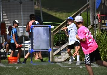 Strike Zone Pro Steel Target Professional Grade Compatible with Wiffle Ball and blitzball