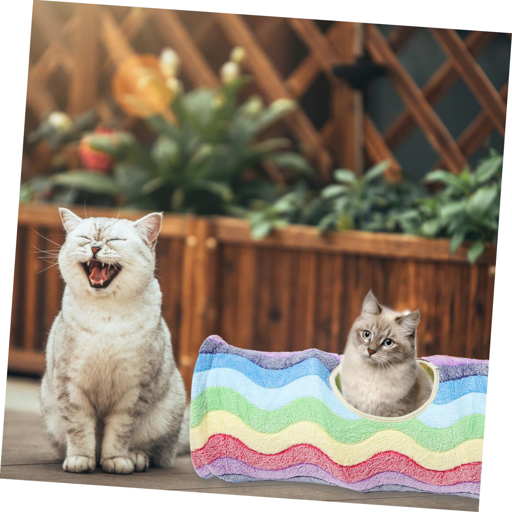 Faltbarer Katzentunnel Spielzeug für Katzen, Flanell, 1 Stück, Regenbogen