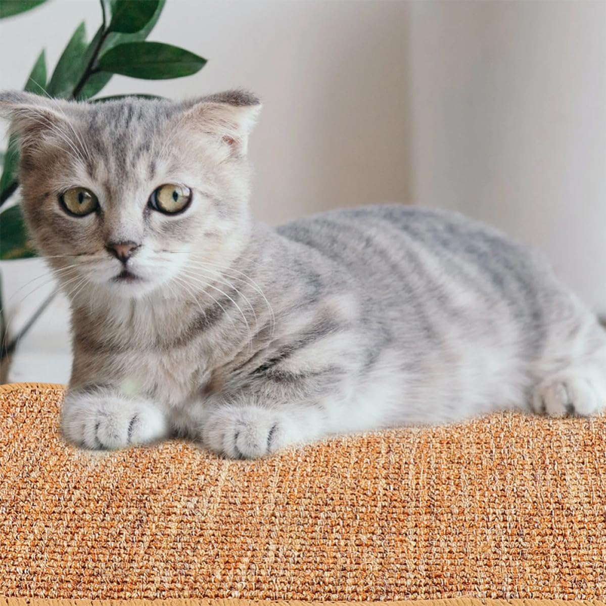 Tappeto Tiragraffi per Gatti in Sisal, Tappetino per Pavimento