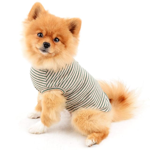 Foto 2 de 8 de PAIDEFUL Camiseta de algodón suave para perros pequeños británicos, a rayas, chaleco de gato