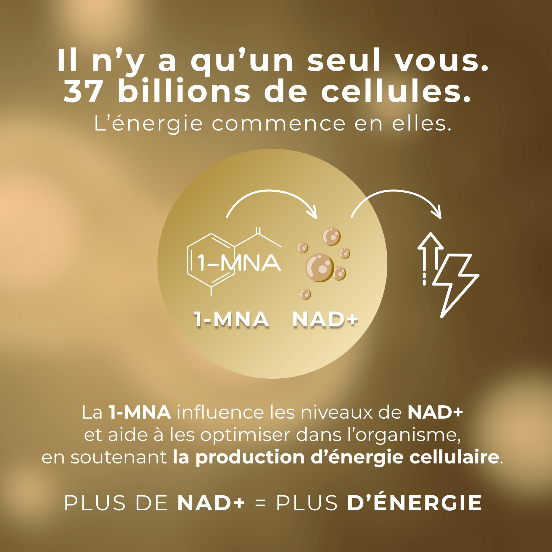 1-MNA PRO, Supplément Anti-âge, Optimise le NAD+, Double Dose pour des Effets Plus Rapides, Biohacking, Soutien à la Santé Cellulaire, Formulé Scientifiquement, 30 Capsules