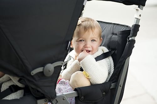 Miniatura 6 de Asiento Trasero Joovy Caboose Negro Amber, Appletree, Black, Gray, Red, Turq