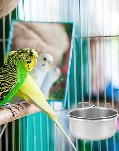 Foto 4 de 7 de QWORK® Juego de 2 Cuencos Pájaros Jaula, Comedero Pajaros de Acero Inoxidable