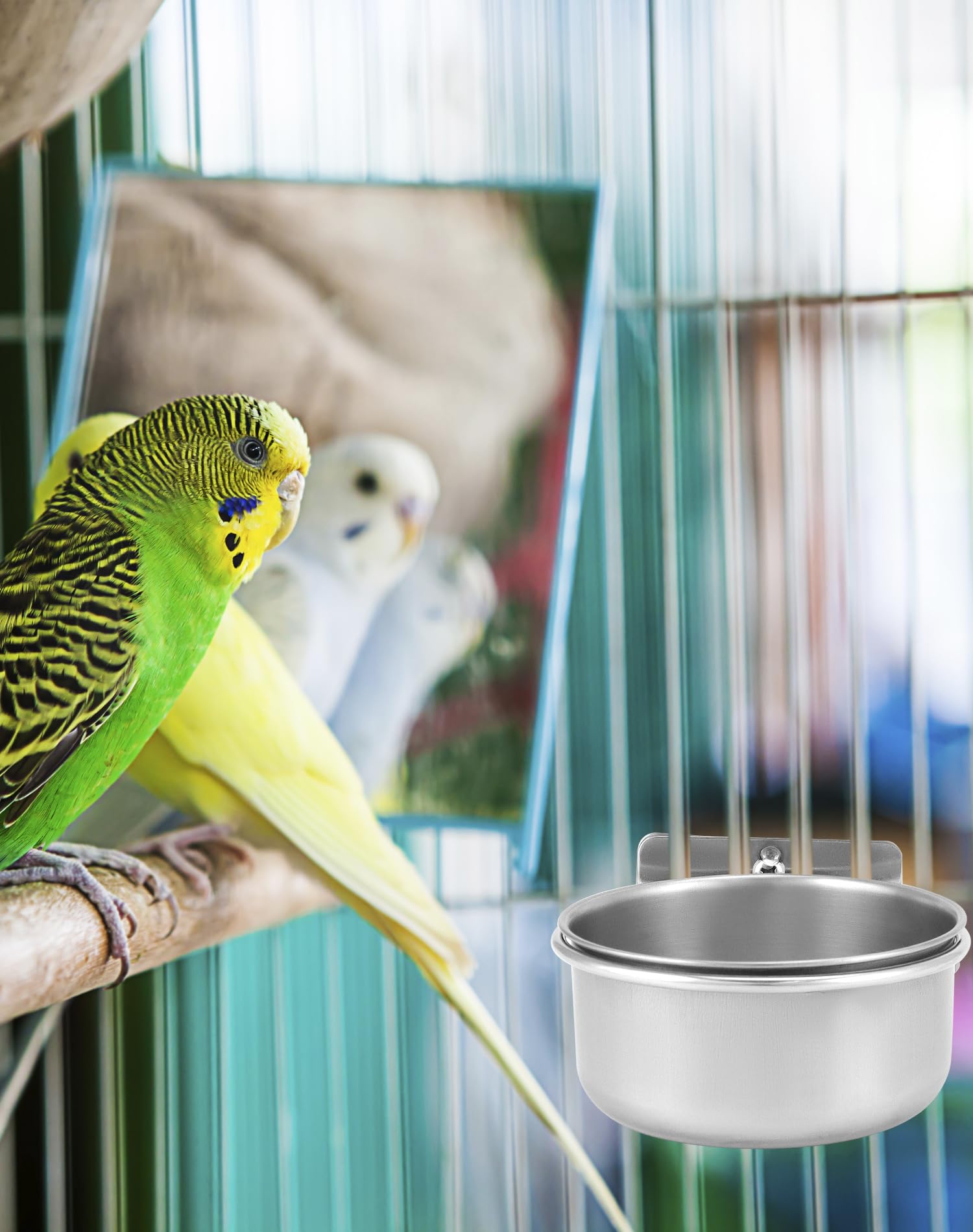 QWORK® Juego de 2 Cuencos Pájaros Jaula, Comedero Pajaros de Acero Inoxidable, Accesorios para Loros y Mascotas Pequeñas (10X4,5 cm)