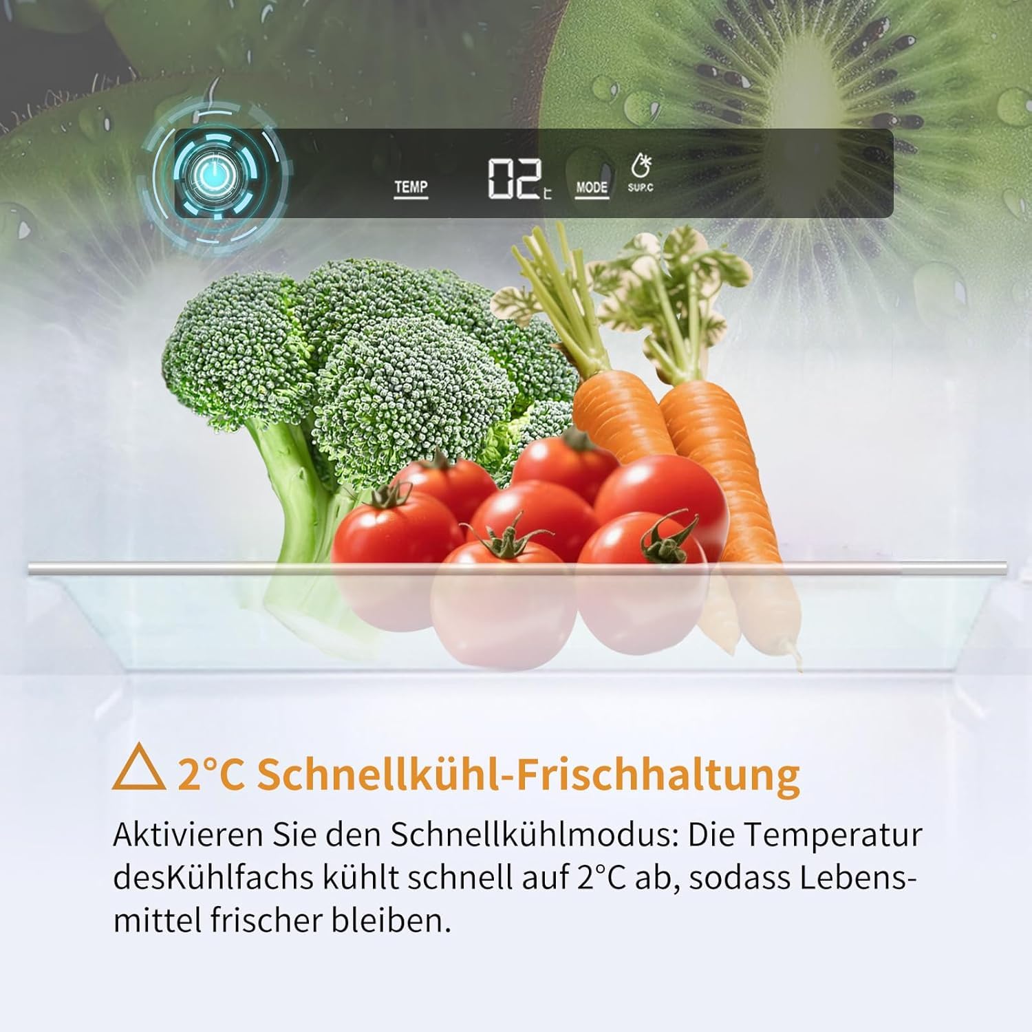 Einbaukühlschrank mit Gefrierfach 177 cm x 54 cm No Frost Plus 248L 186L/62L Energieeffizient Leise Türs Wechselbar