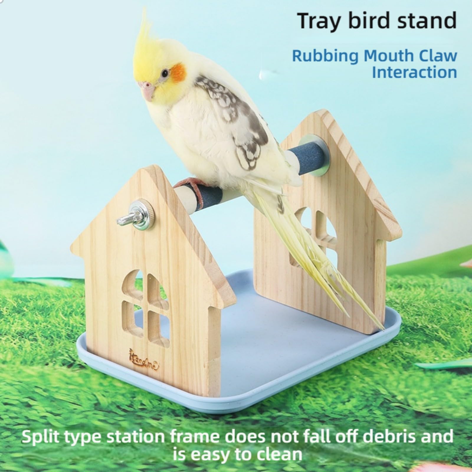 Soporte de madera natural para loros con base antideslizante para entretenimiento de pájaros, fácil movilidad, soporte para loros de madera natural