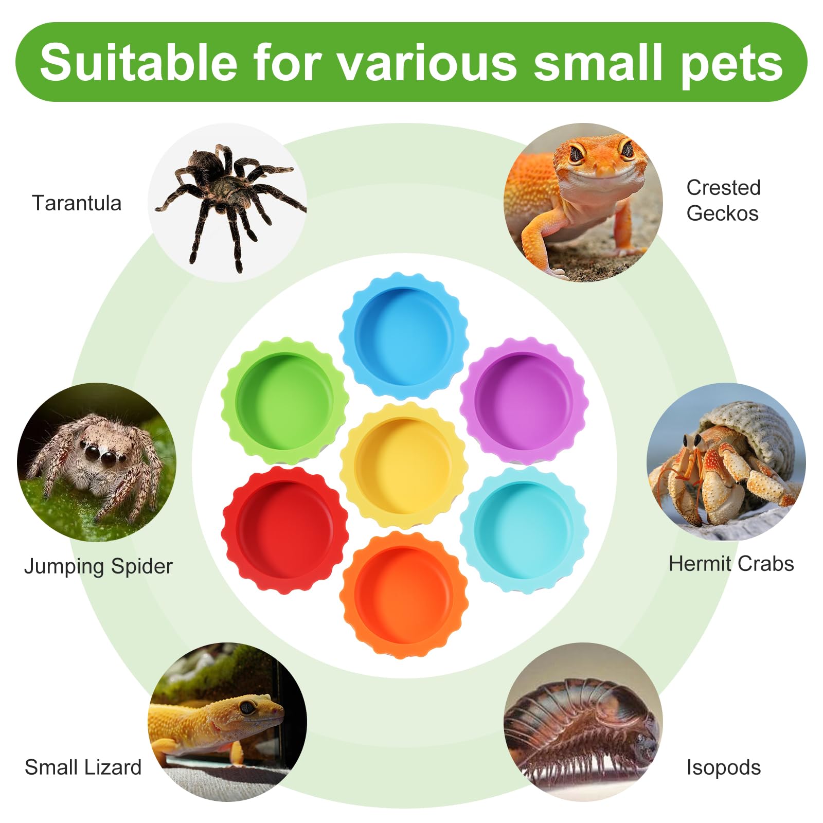 12 STK Silikon Kronengecko Wasserschale Terrarium Kleine Futter Und Wassernapf Für Reptilien, Leicht Zu Reinigendes, Bunte Terrarium Zubehör Für Bartagamen, Schildkröten, Krabben Und Kleine Haustiere
