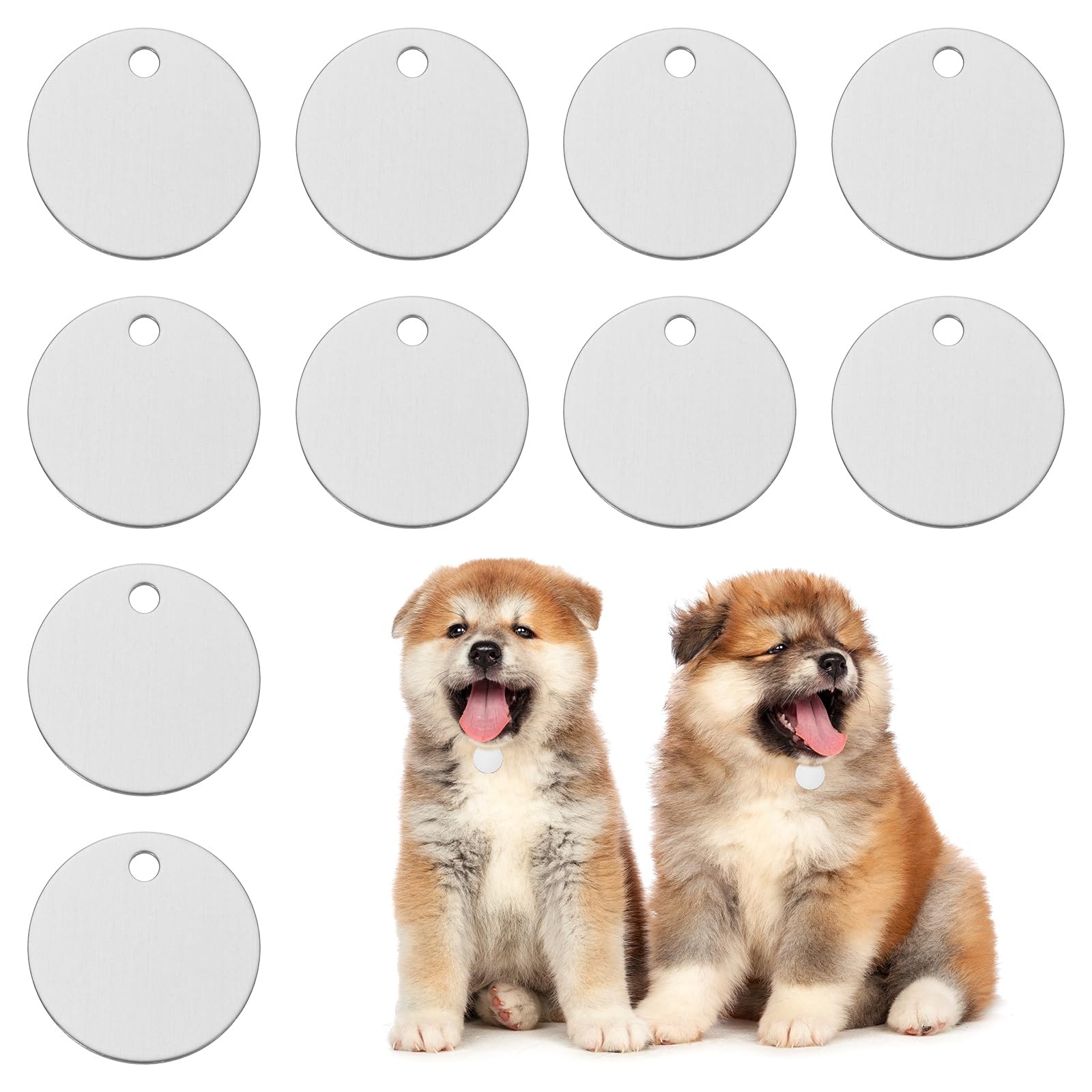 PATIKIL 30mm Blanks Dog Pet Tags, 10Pcs Round Aluminum Blanks Engraving Tags for Carving Names Phone Numbers or Other Information Pendants, Silver