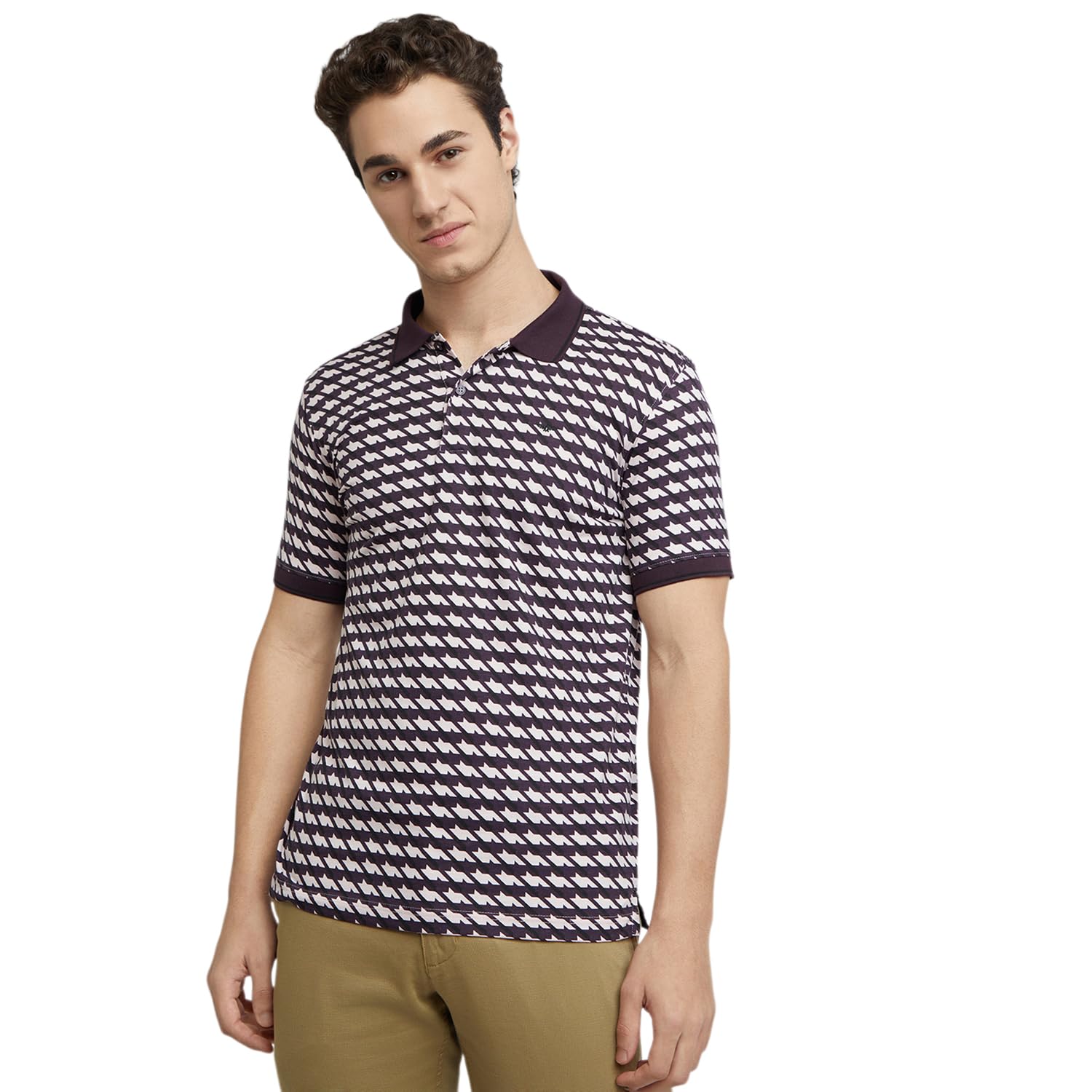 park avenue Men's Slim Fit Print Pattern Cotton Polyester Blend Polo Neck Half Sleeve Casual T-Shirt-picture-34