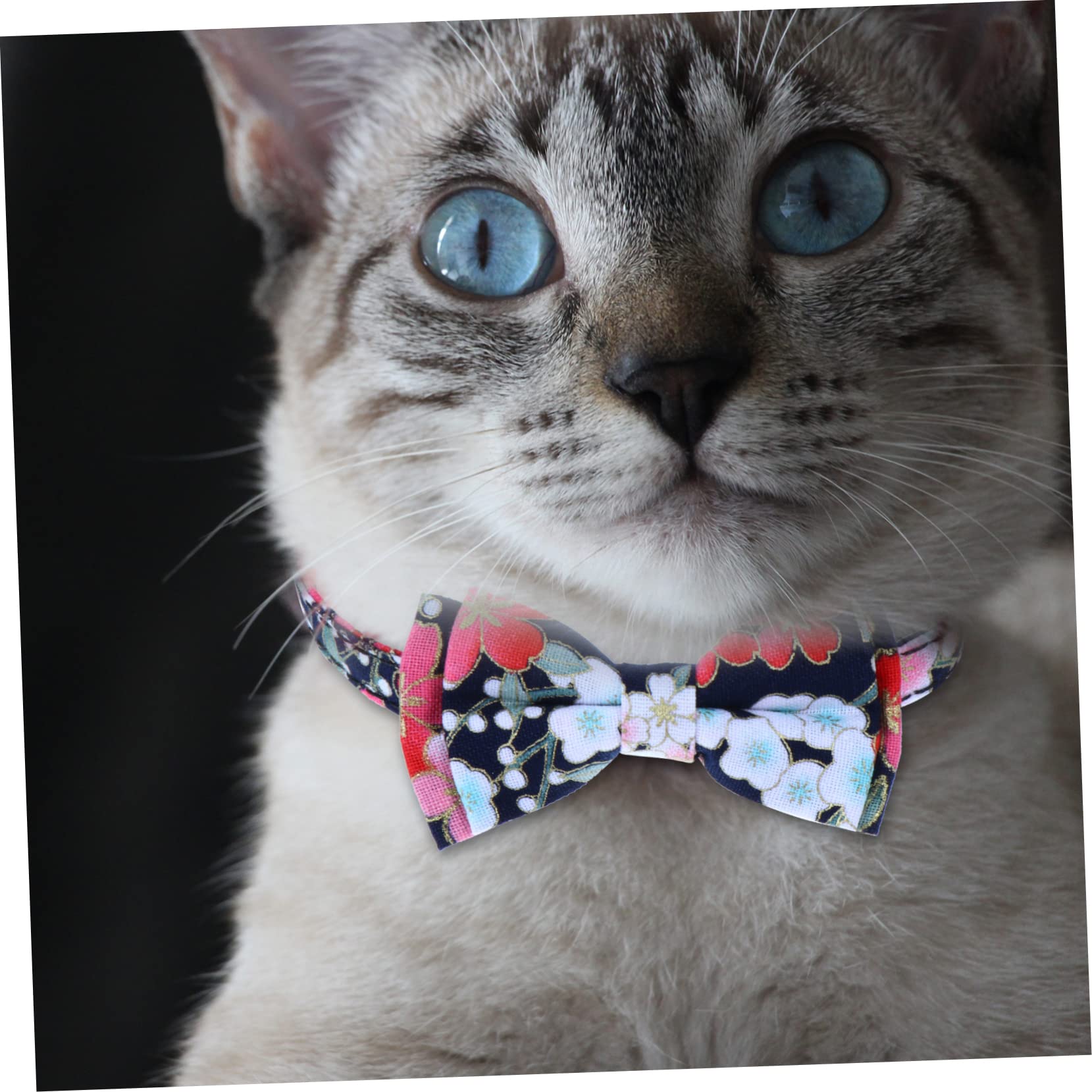INOOMP 9pièces Collier pour Chat Réglable avec Clochettes Et Nœud Lot de Fleurs Colorées Accessoire Doux pour Animaux De Compagnie