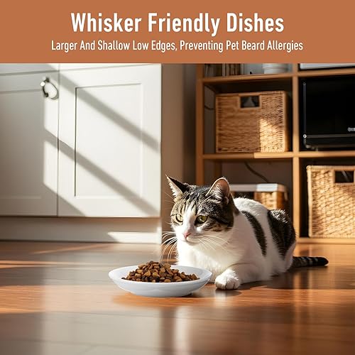 Miniatura 4 de Paquete de 6 cuencos de cerámica para gatos, cuencos de comida para mascotas, platos de comida para gatos de 5.9 pulgadas de boca ancha poco