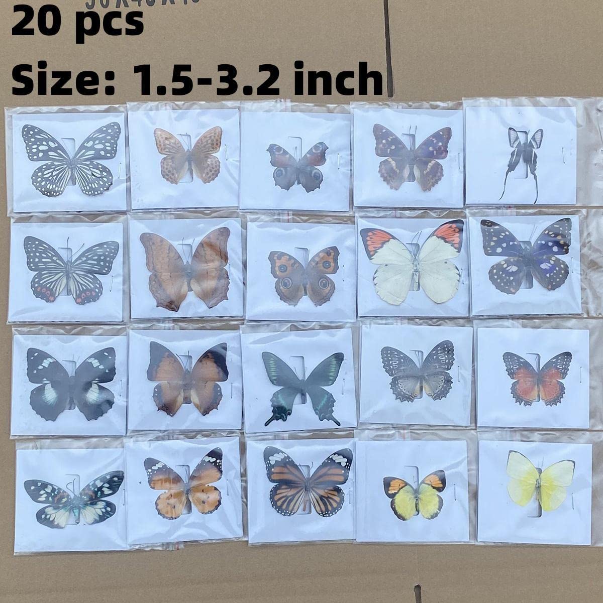 20 Pcs Real Taxidermy Butterfly - Butterfly Specimen Artwork Material Decor, Taxidermy Animals Satisfy Oddities and Curiosities