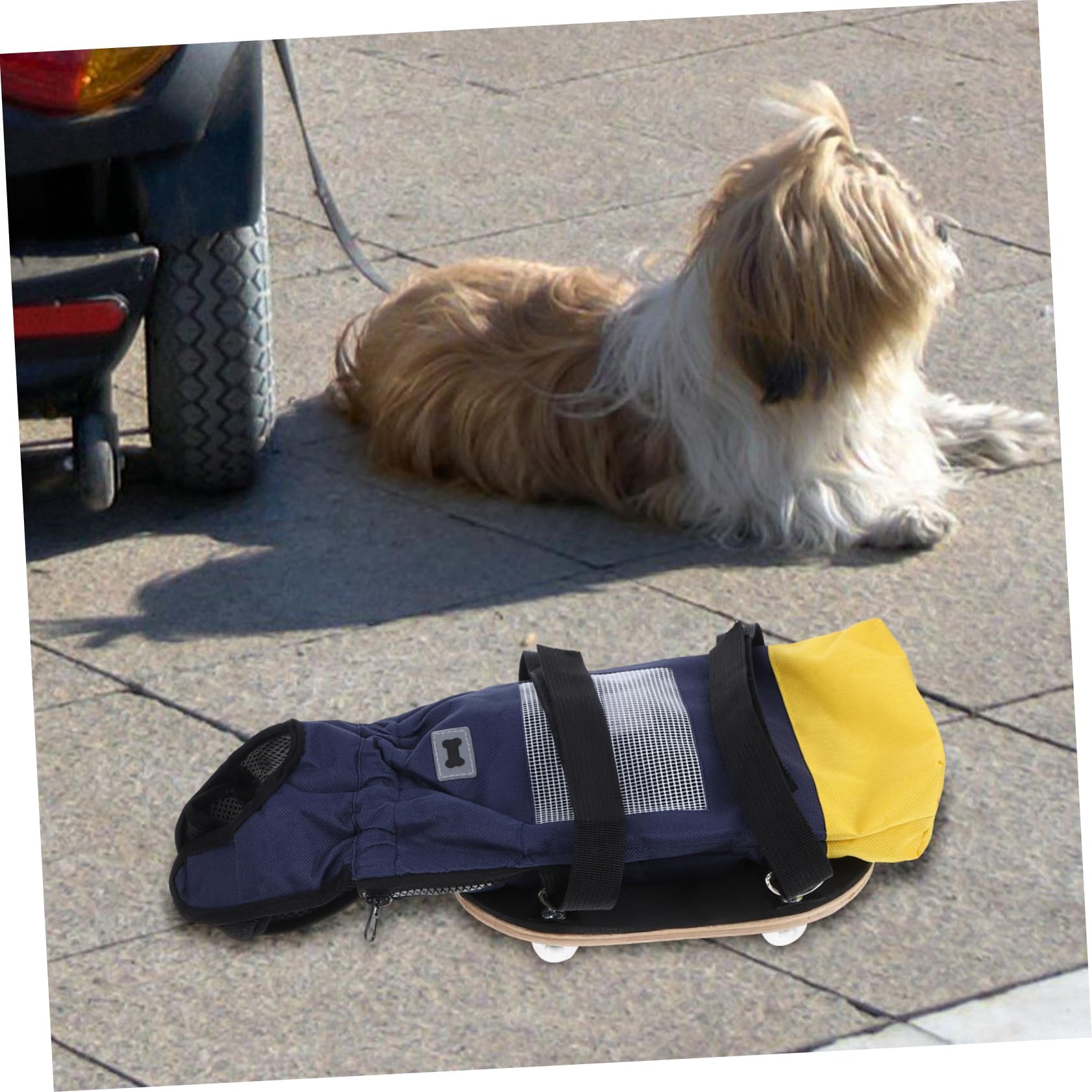 Carrellino con Ruote per Cani Disabili con Supporto per Zampe Posteriori, Realizzato in Poliestere e Legno, Portatile, per Uso Interno ed Esterno